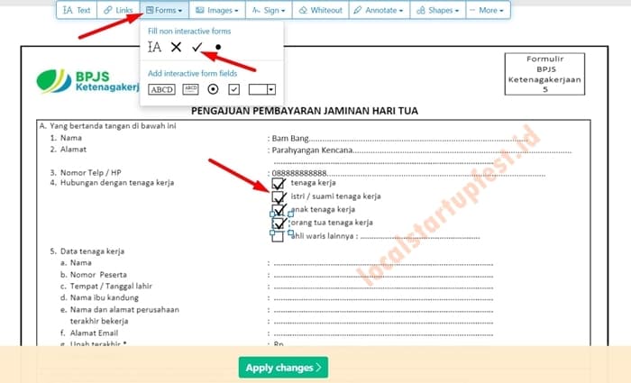Cara Mengisi Formulir PDF Secara Online 3