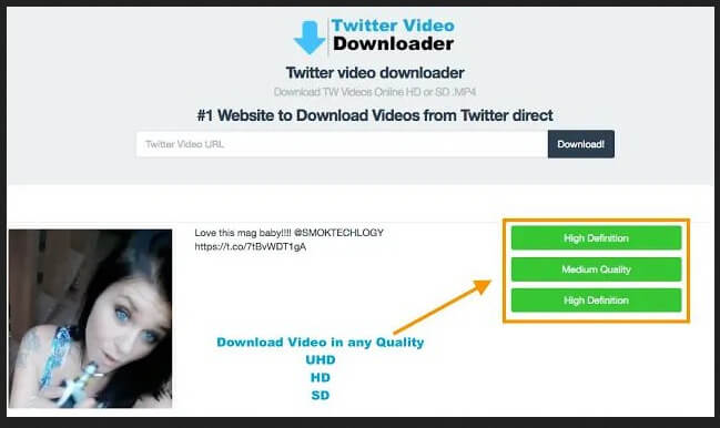 Cara Download Video Dari Twitter Online & Dengan Software