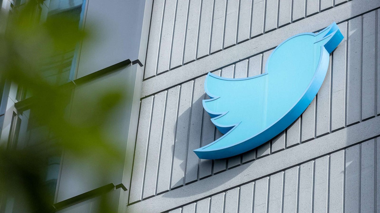 Twitter Akui Bug Keamanan di Fitur Circle Tweets 1 twitter