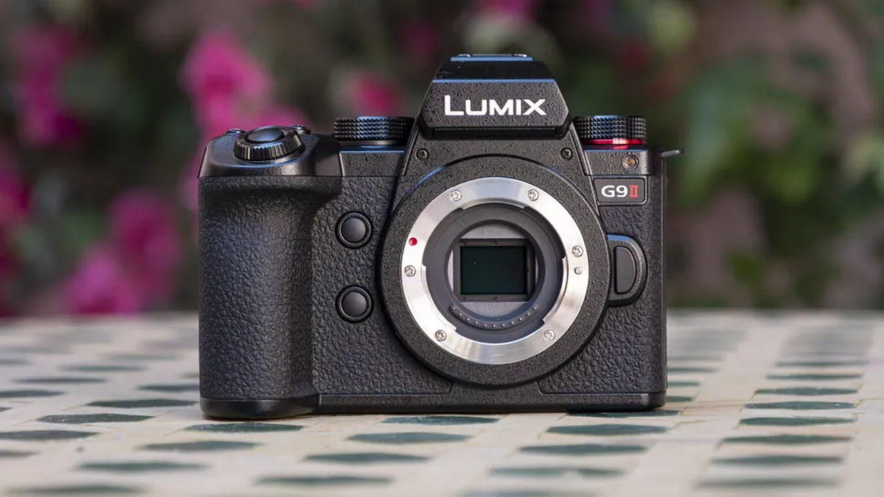 Review Panasonic Lumix G9 II: Kamera Hebat untuk Fotografi Satwa Liar 1 Panasonic Lumix G9 II review