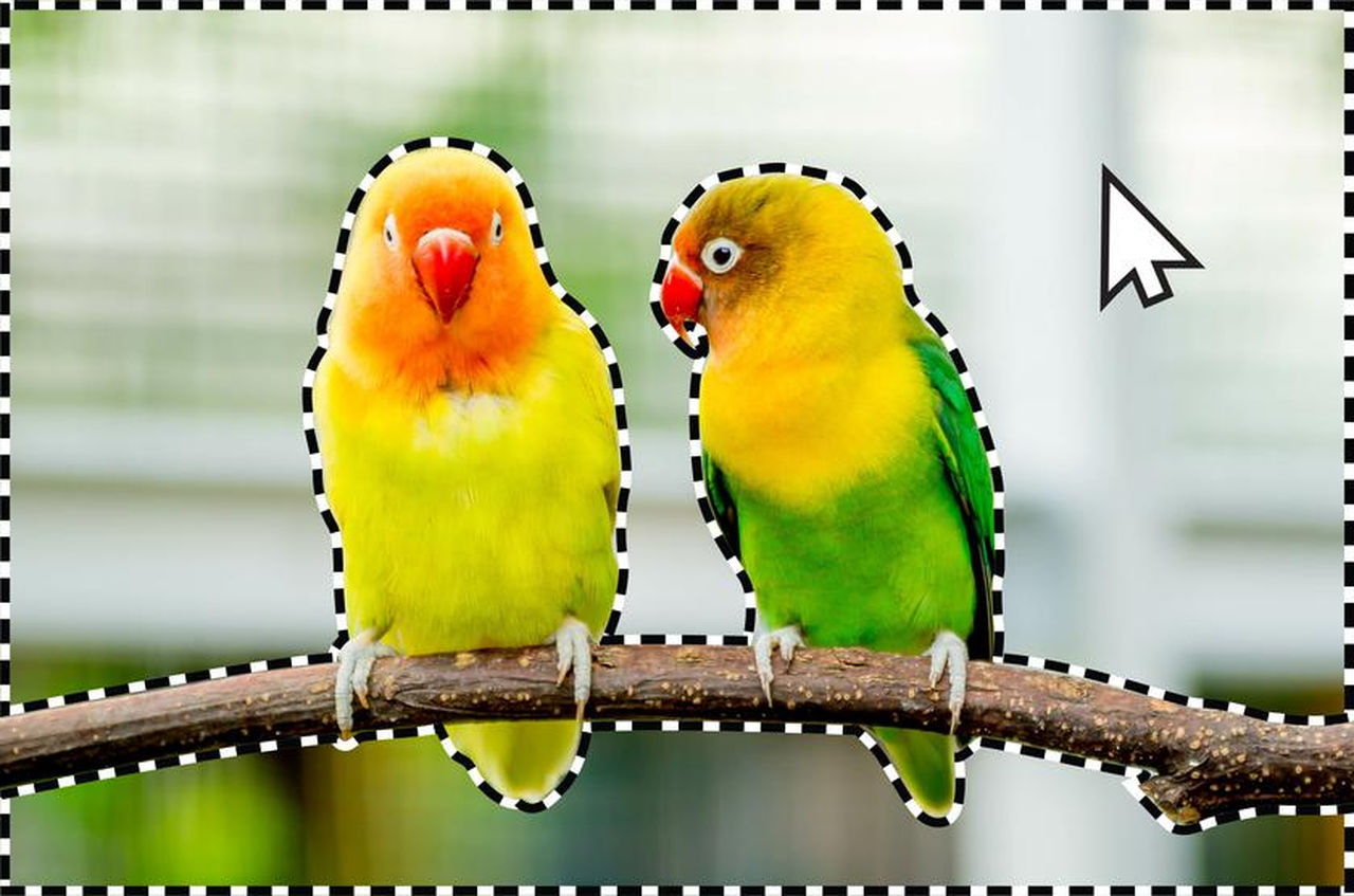 Adobe Rilis Versi Terbaru Photoshop dan Premiere Elements Dengan Fitur Kecerdasan Buatan 1 adobe photoshop update