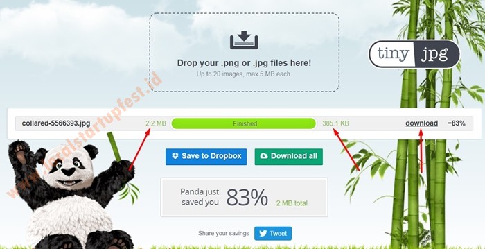 Mengecilkan ukuran foto online dengan tinyJPG 16