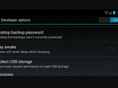 developer option samsung
