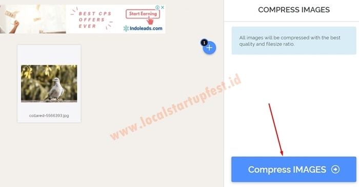 perkecil foto online dengan iLoveIMG 22